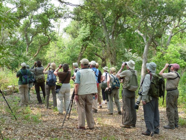 So you want to be a Birding Tour Leader?