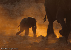 The combination of the setting sun and atmospheric dust produced this beautiful effect.