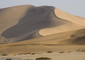 Stretchihg 3000 km, the Namib Naukluft is one of the oldest deserts in the world.