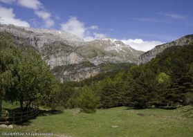 The vast cliffs and mountains around Hecho are one of the best places to find a range of the tyoical Pyrenean species.
