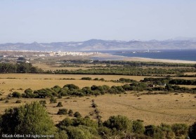 The short crossing to Morocco from Tarifa explains why this is such an important migration route.