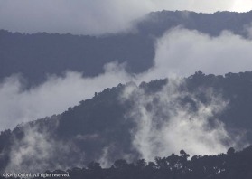 As the temperature lifts cloud rise up from the rainforest.